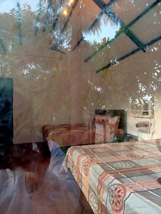 Achal Farm जंगल में मंगल Villa Gurgaon Exterior photo