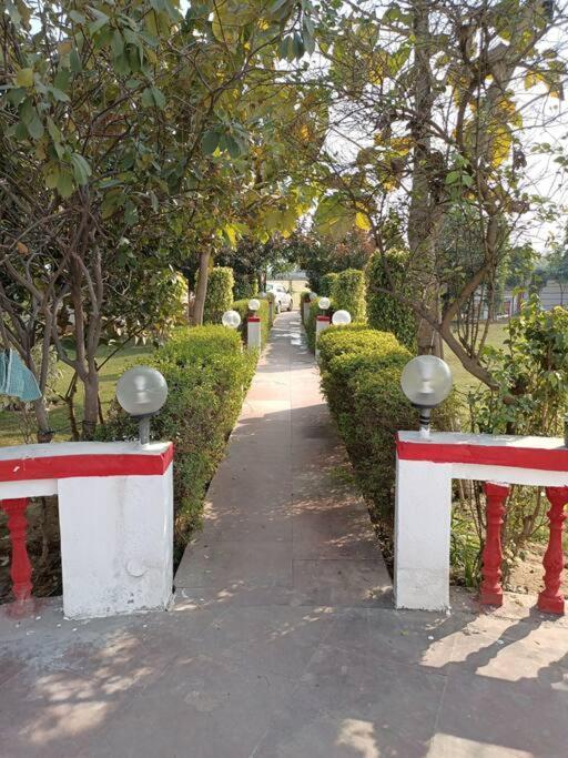 Achal Farm जंगल में मंगल Villa Gurgaon Exterior photo