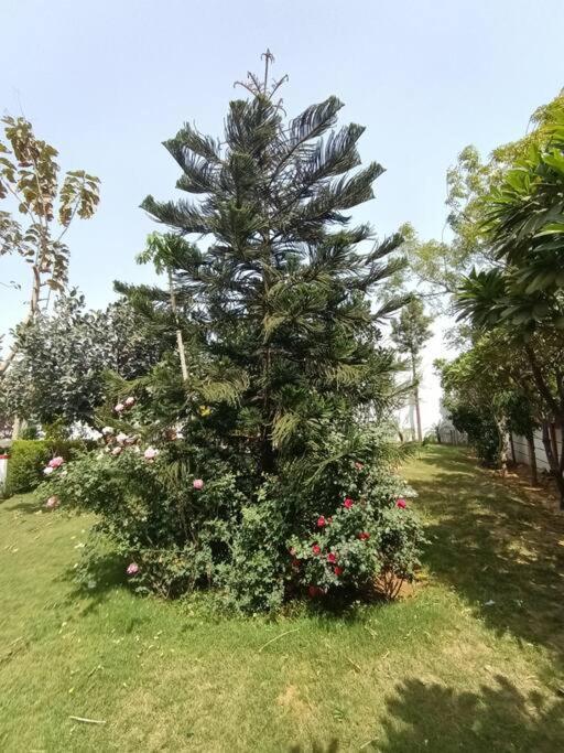 Achal Farm जंगल में मंगल Villa Gurgaon Exterior photo