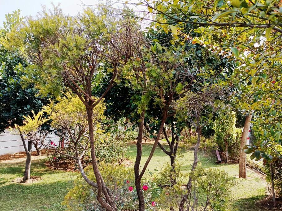Achal Farm जंगल में मंगल Villa Gurgaon Exterior photo